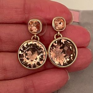 Banana Republic Rose Gold/Gold Stone Earrings